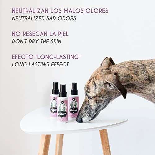 Petuxe Perfume vegano para perros de origen natural. Colonia en spray para mascotas. Corrector de olor para mascotas. Cachorros y adultos. Efecto duradero (Dama)