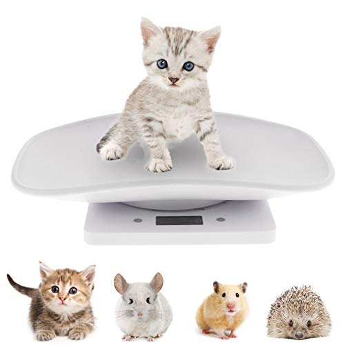 Petyoung Báscula digital multifunción para mascotas para medir el peso de perro y gato con precisión hasta 10 kg, pantalla LCD para mascotas con cómoda plataforma de curvatura