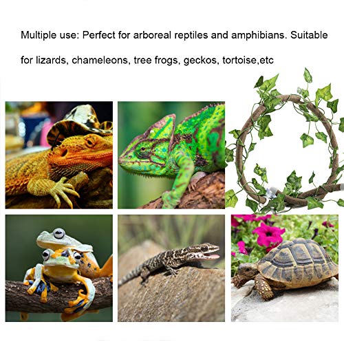 Petyoung Enredadera de Reptil con Hoja Realista 3. Rama de Escalada de Reptil de 28 Pies Selva Flexible Planta de Decoración de Hábitat para Mascotas para Serpientes Lagartos Camaleones
