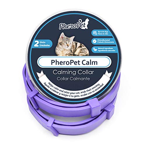 PheroPet Collar Calmante para Gatos - Feromonas para Gatos, Alivia la ansiedad, tranquilizante Natural (2 Unidades)