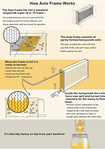 PIAOCHONG Casa De Abeja De Madera Interactiva - Polinizador Sistema De Gestión De Abejas,Bee House + 4 Hives