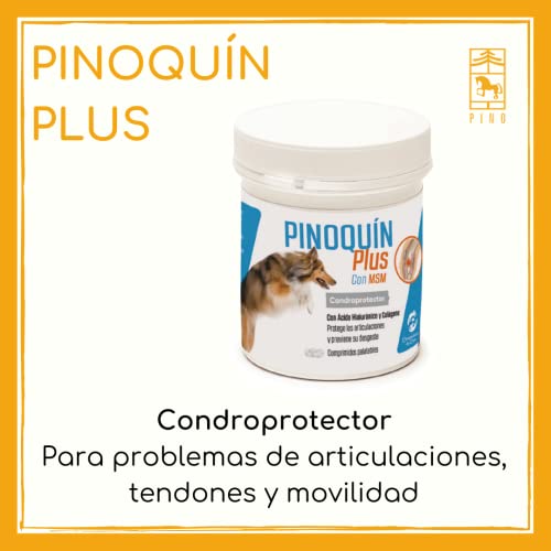 PINOQUIN Plus Condroprotector perros para fortalecer las articulaciones. Contiene MSM y colágenos para mejorar la estructura ósea. Contiene 160 comprimidos fabricados en España