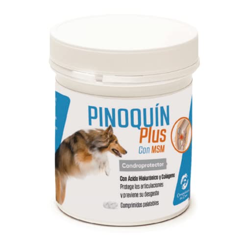 PINOQUIN Plus Condroprotector perros para fortalecer las articulaciones. Contiene MSM y colágenos para mejorar la estructura ósea. Contiene 160 comprimidos fabricados en España