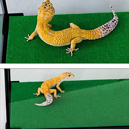 PINVNBY Alfombra de reptiles lagartos ropa de cama jaula de mascotas suministros Geckos terrario sustrato Liner para camaleón barbudo Dragon Turtles Iguana serpientes 2PCS (verde)