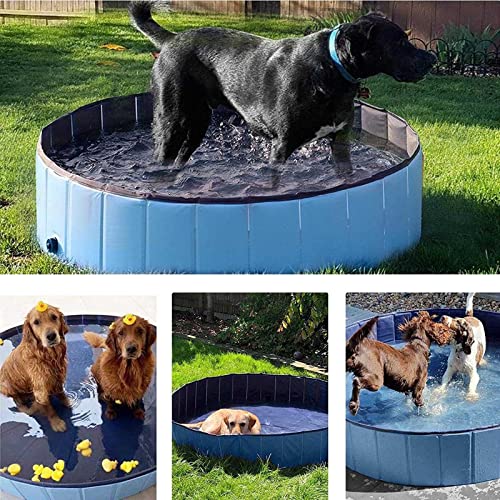 Piscina de plástico plegable para niños – Piscina de perro plegable de plástico duro, bañera portátil para niños perros y gatos, piscina para mascotas para interiores y exteriores