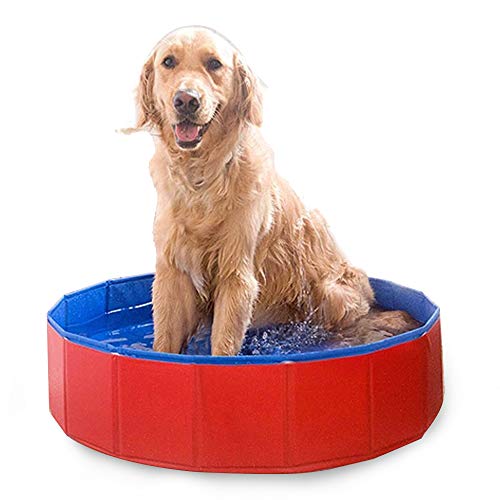 Piscina Plegable para Perros Gatos Bañera Baño Portátil para Mascotas Pequeños Medianos y Grandes para Limpiar Jugar al Aire Libre 80*30 cm