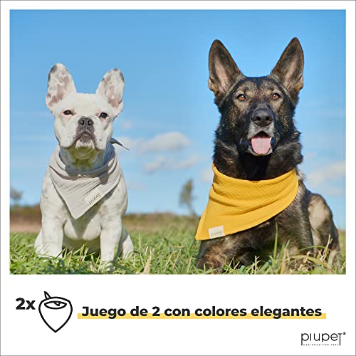 PiuPet® Bandanas para Perros (Large) - Set de 2 Bandanas para Perros - Bandanas con Estilo para Perros Grandes y pequeños - Ropa y Accesorios para Perros