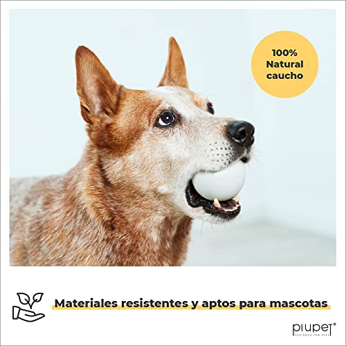 PiuPet® Set de Pelotas para Perros - Pelotas para Perros Resistentes a mordeduras - Pelotas de Juego para Perros