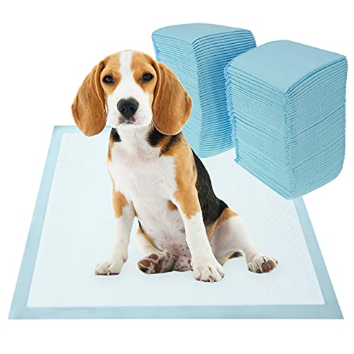 PrimeMatik - 100 empapadores absorbentes de 33 x 45 cm. Toallas de Entrenamiento para Perros Cachorros