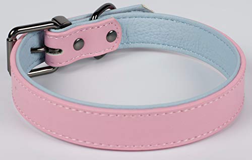 Puccybell Collar para perro de 2 colores con piel, clásico en colores de contraste para perros pequeños, medianos y grandes HB004 (L, rosa y azul claro)