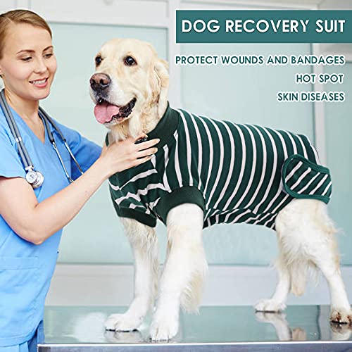 PUMYPOREITY Recuperación de Perro, Traje Quirurgico Camisa de Recuperación Anti lamiendo Body Postoperatorio Mascotas Abdominal Heridas Protector después de la Cirugía(Verde, S)