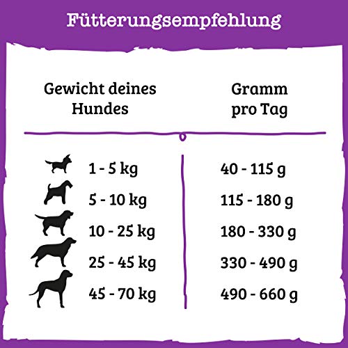 Purina Beneful - Pienso seco para Perros (años 7 + (con Pollo, Verduras y vitaminas), 4 Unidades (4 x 3 kg)