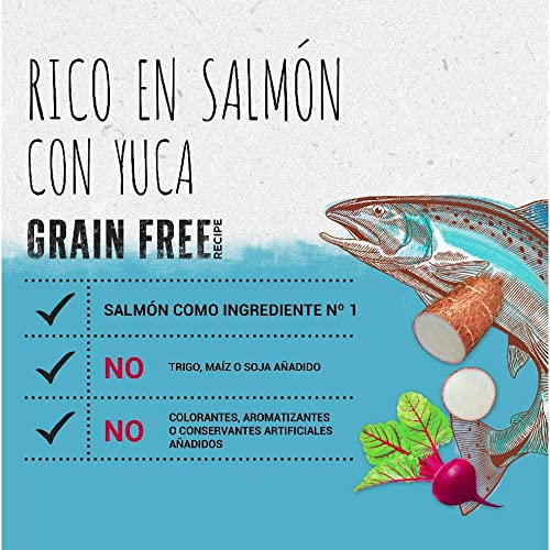 PURINA BEYOND Grain Free Gato Seco Sabor Salmón 1.2kg