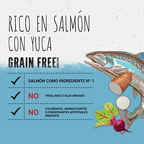 Purina Beyond Grain Free pienso Natural para Gato con Salmón 6 x 1,2 Kg - 1 Sacos