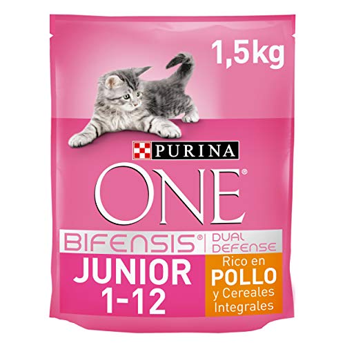 Purina ONE Bifensis Pienso para gatitos Junior Pollo y Cereales 6 x 1,5 Kg