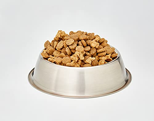 Purina One Medio/Maxi croquetas para Perro Adulto Rico en Pollo con arroz, 4 Bolsas de 2,5 kg Cada uno