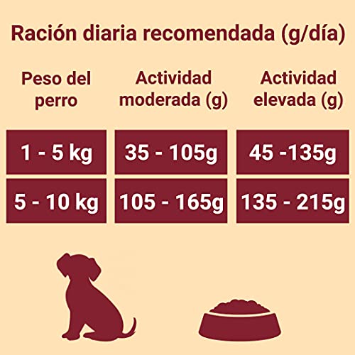 Purina ONE MINI Active Pienso para Perro Adulto Pollo y Arroz 8 x 800 g