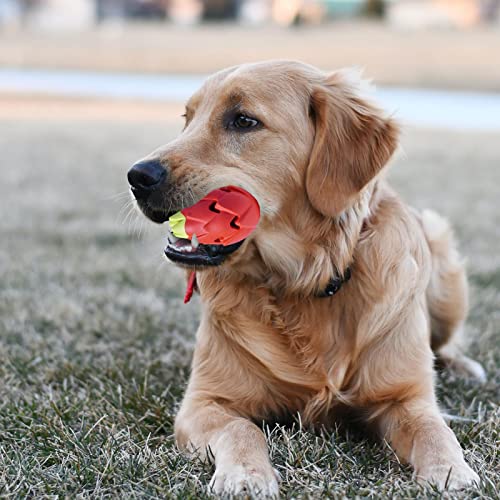 pwne Juguete para Masticar Frutas para Perros, Juguete Resistente a Las Fugas de Comida para Perros, Juguetes interactivos para Perros de diseño Elegante, Juguetes para Perros para masticadores
