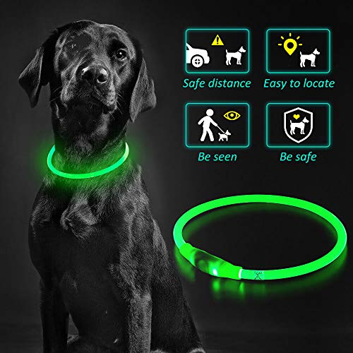PZRLit Collar Luminoso Perro Recargable, Collar Luz Perros Impermeable, Collar LED Perro para Perros Pequeños Cachorro, Medianos y Grandes, Collar Reflectante Perro de Seguridad-Verde