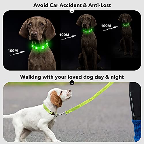 PZRLit Collar Luminoso Perro Recargable con 3 Modos de iluminación Collar Luz Perro Noche de Seguridad, Ajustable para Cachorros Pequeños, Medianos y Grandes Collar LED Perro Luminoso-Verde,Medio