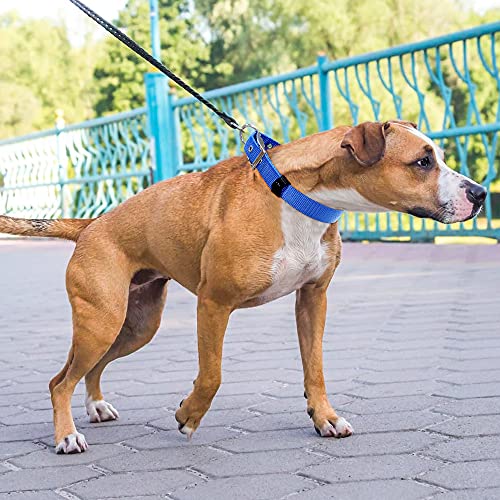 PZRLit Collar Perro Resistente con Suave Acolchado Neopreno, Hebilla de Metal y Anillo en D, Ajustable Transpirable Collares Perros Ancho para la Caminata Diaria Corriendo-Azul,Grande