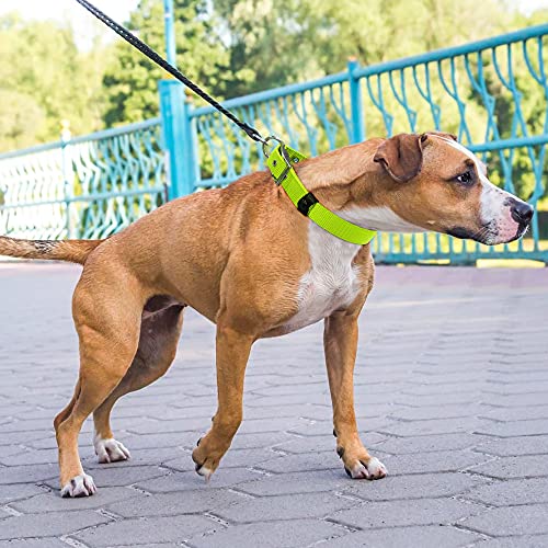 PZRLit Collar Perro Resistente con Suave Acolchado Neopreno, Hebilla de Metal y Anillo en D, Ajustable Transpirable Collares Perros Ancho para la Caminata Diaria Corriendo-Verde,Medio