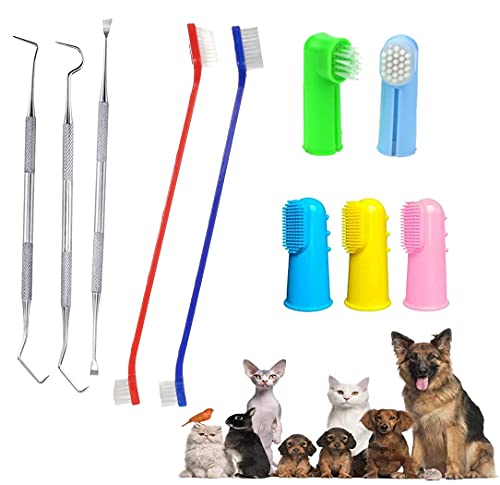 QeeHeng Kit de cepillo de dientes para perros, cepillo de dientes para gatos, incluye herramienta de eliminación de placas, adecuado para gatos y perros de todos los tamaños, 10 piezas