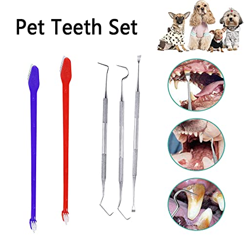 QeeHeng Kit de cepillo de dientes para perros, cepillo de dientes para gatos, incluye herramienta de eliminación de placas, adecuado para gatos y perros de todos los tamaños, 10 piezas