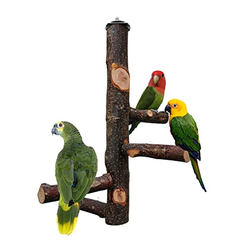 QeeHeng Percha para pájaros, jaula para loros de madera natural, jaula para pájaros, perchas para loros, periquitos pequeños, cacatúas, guacamayos, loros, pájaros amorosos, pinzones