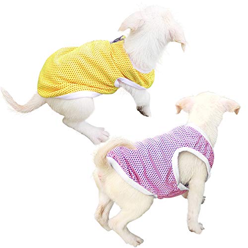 QiCheng & LYS Camiseta para Perros de 2 Piezas, Chaleco Deportivo para Perros, Suave y Transpirable Adecuado para Perros pequeños y medianos (Rosado/Amarillo, Small)