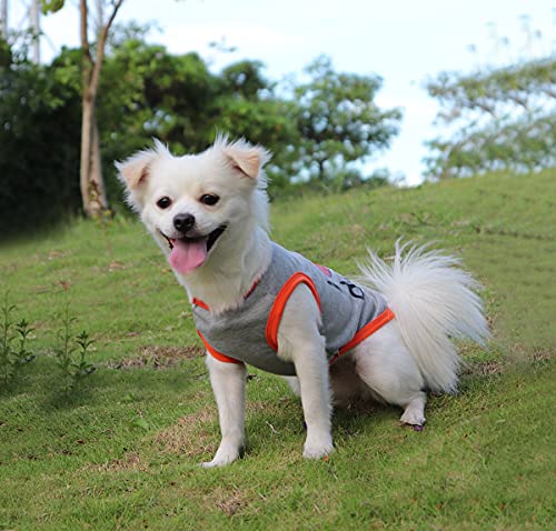 QiCheng&LYS Camiseta de Perro, Camiseta de Perro Minimalista, Camiseta pequeña y Bonita, Camiseta Deportiva, Suave y cómoda (2 Piezas Gris/Rosado, L)