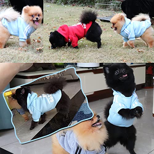 QiCheng&LYS Dog Hoodie,Jersey Perros,Sudadera Perro Ropa ParaCachorros, Sudadera para Chihuahua Cómodo Y Cálido (Azul, Medium)