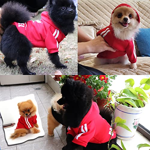 QiCheng&LYS Sueter Mascota,Jersey Perros,Sudadera Perro Ropa ParaCachorros, Sudadera para Chihuahua Cómodo Y Cálido (Rojo, Small)