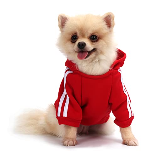 QiCheng&LYS Sueter Mascota,Jersey Perros,Sudadera Perro Ropa ParaCachorros, Sudadera para Chihuahua Cómodo Y Cálido (Rojo, X-Small)
