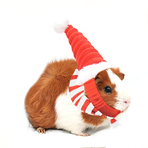Qingsi 1 juego de disfraz de animal de Navidad, sombrero de Papá Noel, disfraz de Navidad de animales pequeños, sombrero y bufanda, bufanda para conejo, hámster, conejillo de indias, conejo, gatos