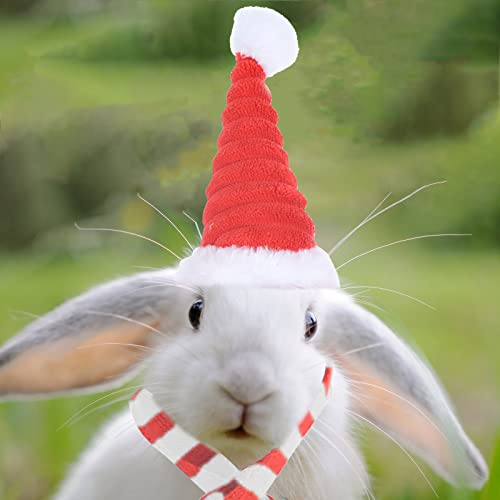 Qingsi 1 juego de disfraz de animal de Navidad, sombrero de Papá Noel, disfraz de Navidad de animales pequeños, sombrero y bufanda, bufanda para conejo, hámster, conejillo de indias, conejo, gatos
