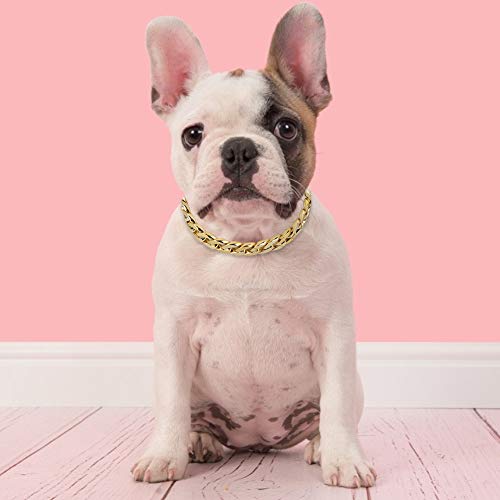 Queen.Y Collar de Cadena Para Perro Pequeño y Mediano Para Mascotas, Accesorios De Joyería Duraderos Para Peluche Bulldog Francés