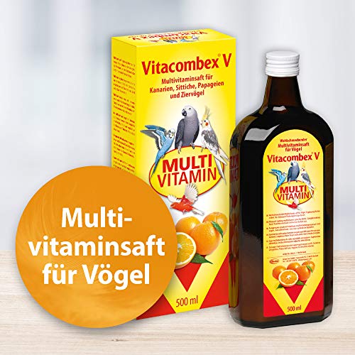 Quiko Vitacombex V – Zumo multivitamínico para Canarios, periquitos, Loros y pájaros Ornamentales/Suministro óptimo de vitaminas