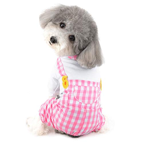 Ranphy Ropa de mascota para perro pequeño mono cachorro gato general trajes perrito camisa blanca Top celosía pantalón dormir mono pijama niño niña Chihuahua Yorkshire Terrier