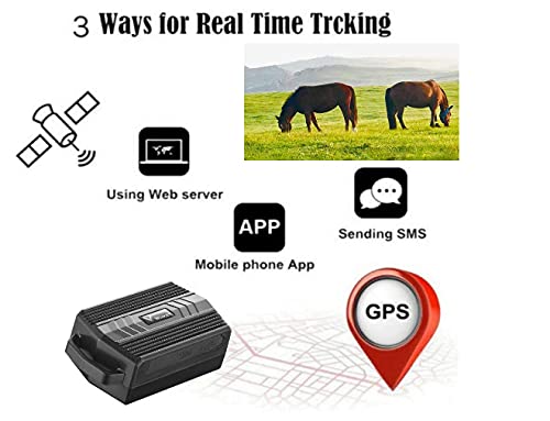 Rastreador GPS para Perros,3000mAh Localizador GPS Perros Impermeable Collar GPS Perros de Caza, Vaca, Ovejas, ovejas, IP66, Geo-Valla, Collar Grande para Animales