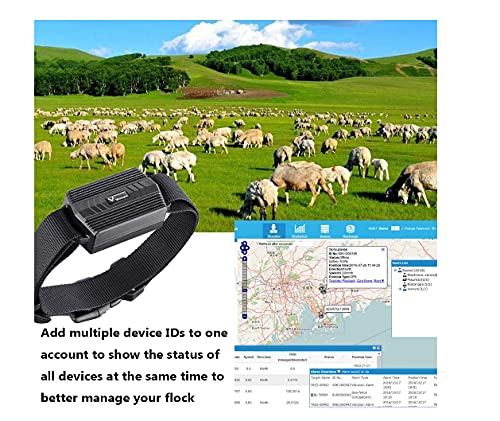Rastreador GPS para Perros,3000mAh Localizador GPS Perros Impermeable Collar GPS Perros de Caza, Vaca, Ovejas, ovejas, IP66, Geo-Valla, Collar Grande para Animales