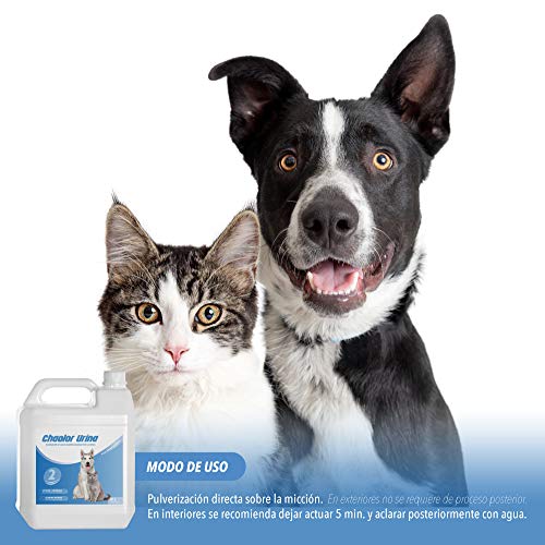 Rc Ocio Spray Neutralizador Enzimatico de Olores para orina, heces o vómitos de Perros y Gatos/eliminador de Malos olores producido por el Pipi de Las Mascotas para Interior y Exterior (5 litros)