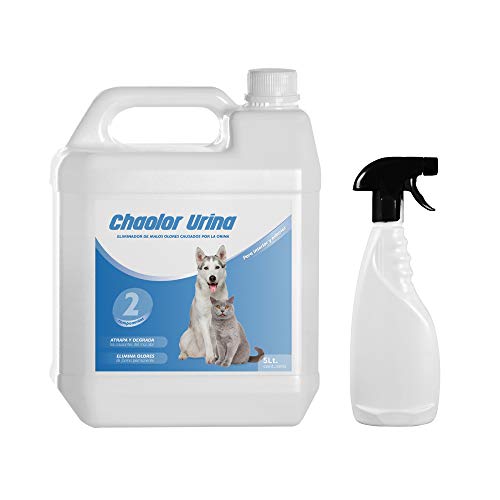 Rc Ocio Spray Neutralizador Enzimatico de Olores para orina, heces o vómitos de Perros y Gatos/eliminador de Malos olores producido por el Pipi de Las Mascotas para Interior y Exterior (5 litros)