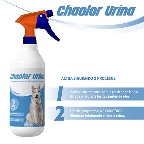 Rc Ocio Spray Neutralizador Enzimatico de Olores para orina, heces o vómitos de Perros y Gatos/eliminador de Malos olores producido por el Pipi de Las Mascotas para Interior y Exterior (1 Litro)
