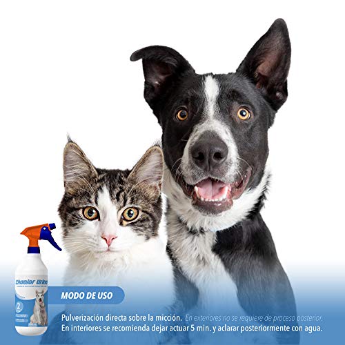 Rc Ocio Spray Neutralizador Enzimatico de Olores para orina, heces o vómitos de Perros y Gatos/eliminador de Malos olores producido por el Pipi de Las Mascotas para Interior y Exterior (1 Litro)