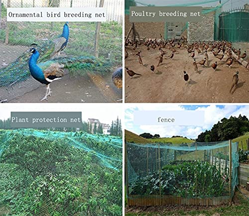 red balcon Redes de aves de animales de granja al aire libre, plantas de jardín Protección contra estanques, redes de pesca Redes de seguridad de cerca, redes decorativas tejidas y redes de carga