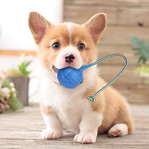 Regalo de Verano Juguete portátil de la Bola del Perro, Juguete Resistente de la Bola del Perro de Las Mascotas, Animal doméstico Interactivo del Masticar de EVA para el Perro