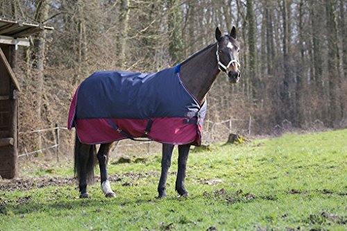 Reitsport Amesbichler Tyrex - Manta para caballo, 1200 denier, forro interior de nailon, impermeable, transpirable, correas cruzadas, etc. 135 cm