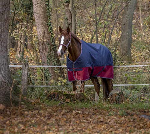Reitsport Amesbichler Tyrex - Manta para caballo, 1200 denier, forro interior de nailon, impermeable, transpirable, correas cruzadas, etc. 135 cm