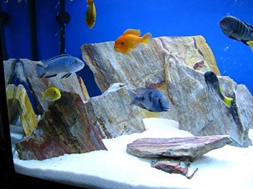 Retne Natur Rainbow Slate - Placas de pizarra para decorar acuarios y terrarios (5 kg)